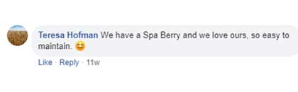 Spaberry Customer Review